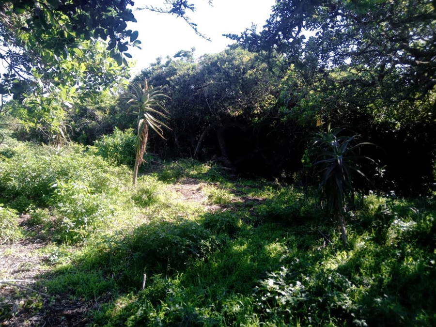 Commercial Property for Sale in Paradise Beach Eastern Cape